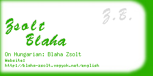 zsolt blaha business card